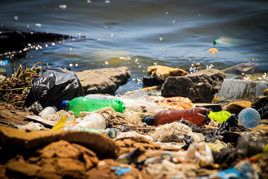 A shoreline covered with a mixture of plastic waste and debris, including discarded water bottles in green, brown, and clear colors, alongside crumpled plastic bags and other miscellaneous rubbish. Several large rocks and pebbles are scattered across the foreground, with some partially submerged in the water. The water appears slightly rippled and contains small floating pieces of trash, such as a small orange buoy and bits of plastic. The scene is set at the edge of a coastal environment, where the waste has accumulated among natural rocks and organic material, illustrating pollution concerns related to improper waste disposal near water bodies. This visual highlights the importance of independent rubbish collection services, like those offered by Rubbish Removal Belgravia, for managing waste effectively and preventing environmental contamination.